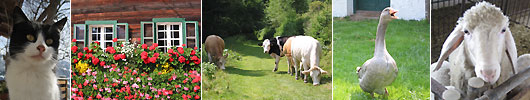Urlaub auf dem Bauernhof in Österreich